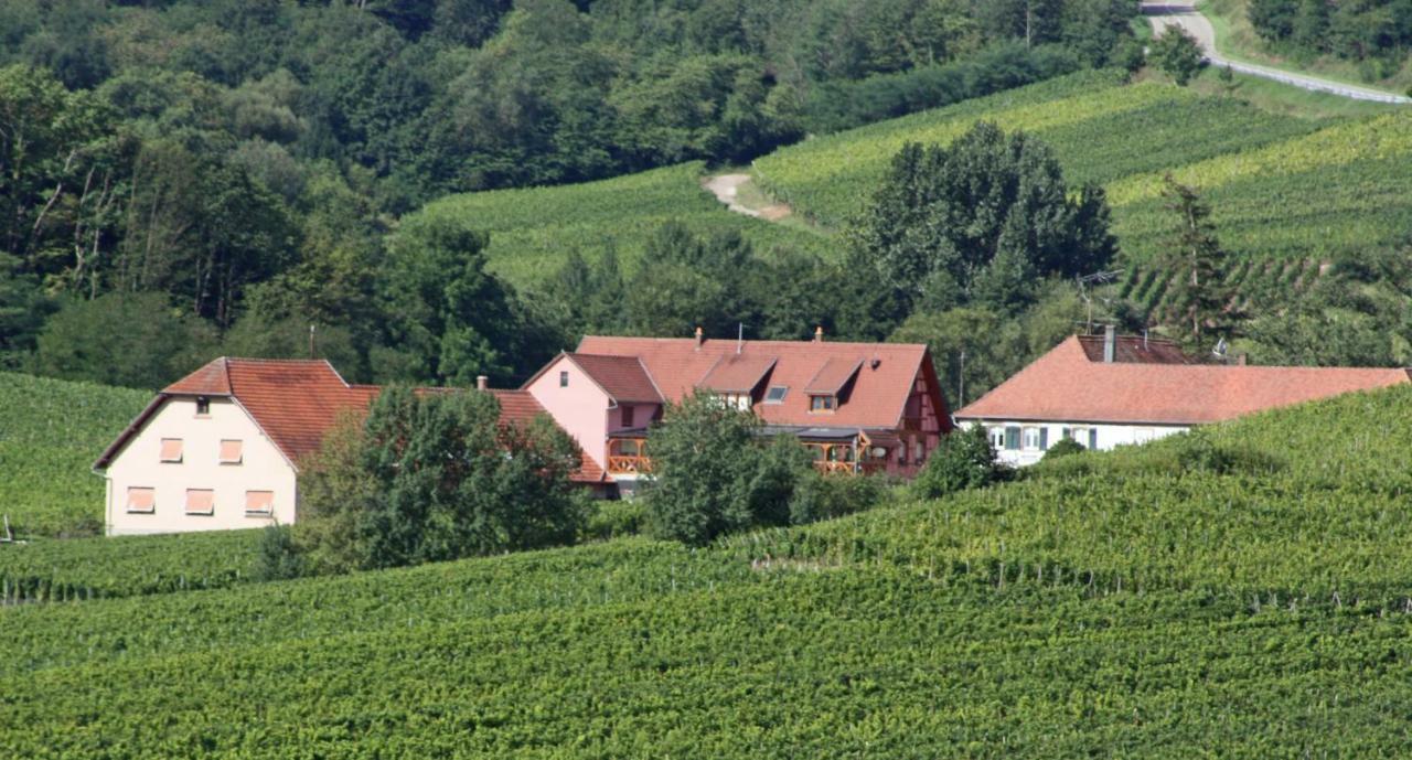Gite "Au Cerf" Nothalten Kültér fotó